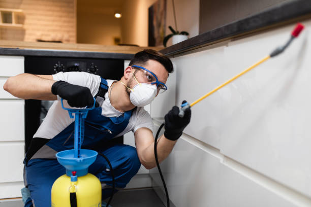 Best Best Pest Control Companies  in Rancho Alegre, TX