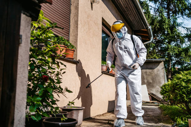 Best Rodent Control Near Me  in Rancho Alegre, TX