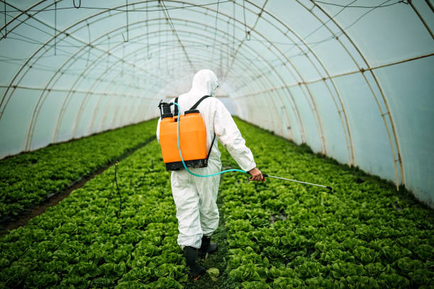 Best Commercial Pest Control Services  in Rancho Alegre, TX