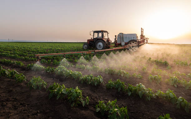 Best Pest Prevention Services  in Rancho Alegre, TX