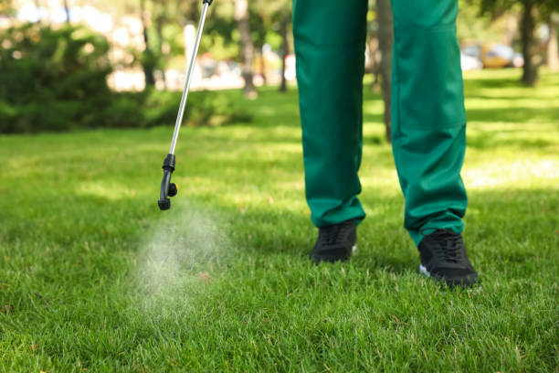 Best Rat Extermination Near Me  in Rancho Alegre, TX