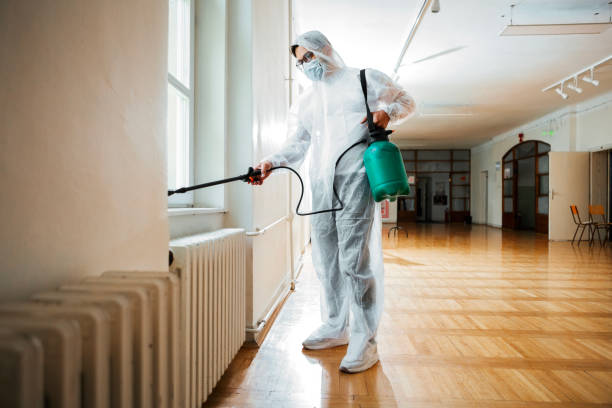 Best Affordable Pest Control Services  in Rancho Alegre, TX