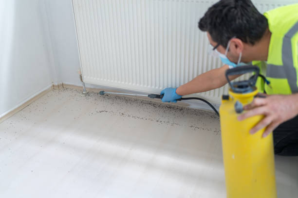  Rancho Alegre, TX Pest Control Pros